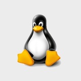 OS_ta_4051