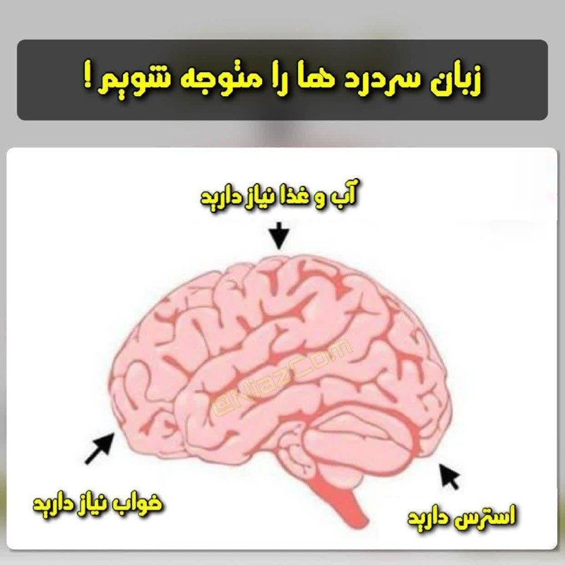 فیروز پرس: چطور زبان سردرد ها را متوجه شویم ؟!سردرد در بالای سر به معنای آب و غذا ، درجلو به معنای کمبود خواب و در پشت به معنای است