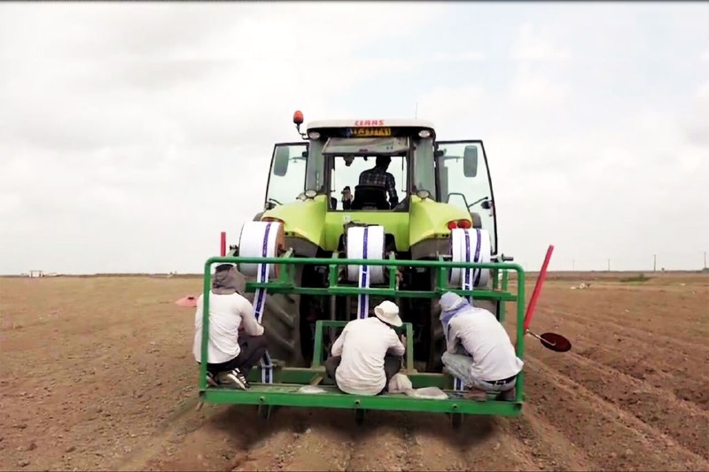 Beginning of autumn wheat cultivation in West Azerbaijan/Agricultural Jihad ready to distribute seeds