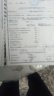Qorasaroy olmazor