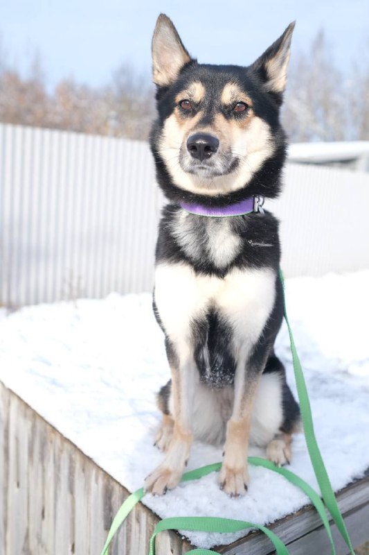 Изображение 5