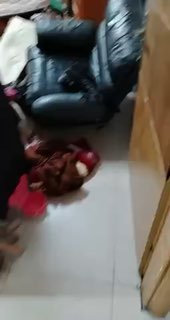 צה"ל עצר את מאליק עבדו בשכם לאחר פשיטה על ביתו