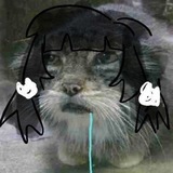 nokoriga