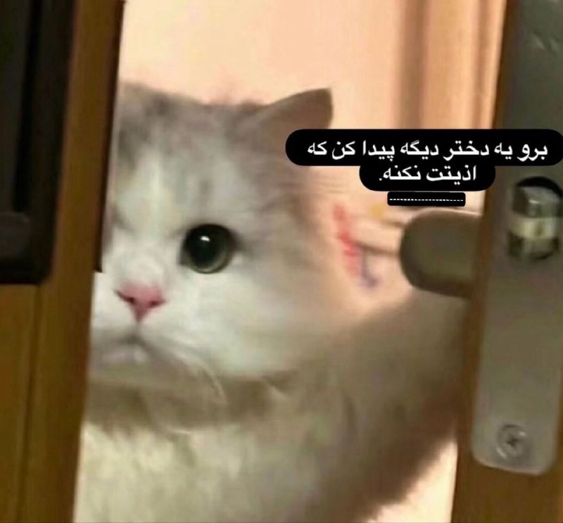 📛GoShAdEsM📛: وقتی تا سر حد مرگ دوس پسرتو روانی کردی:Join 🔜 🎀 @GoSHaDeSM 🚩