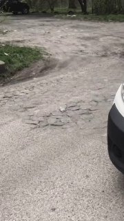 https://t.me/bmw_mpower_club