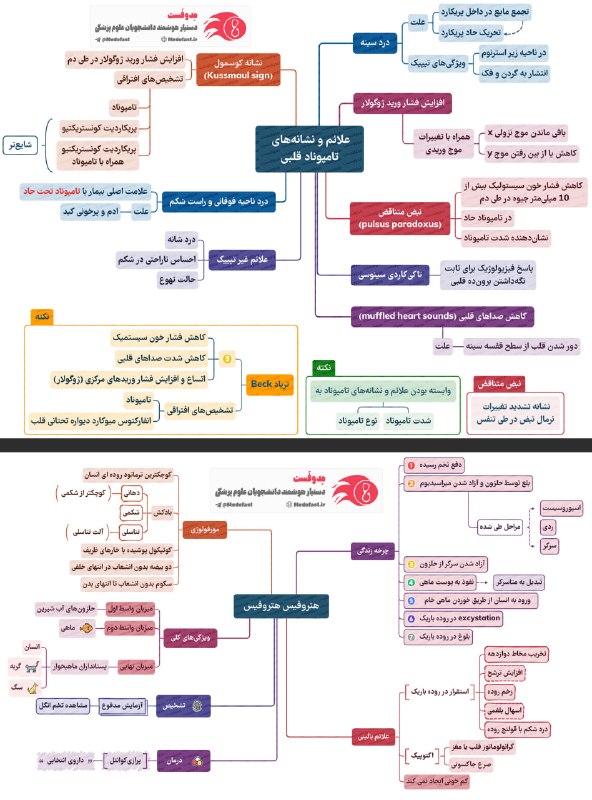 توییتر دانشجویان علوم پزشکی: 🎓هر روز یادگیری صفر تا صد یک مبحث حیاتی برای آمادگی آزمونهای رزیدنتی، پرهانترنی، علوم پایه پزشکی و دندانپزشکی و لیسانس