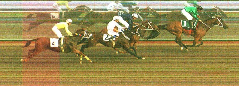 " خبرگزاری اسبدوانی ": 📸 تصویر فتوفینیش کورس ششم🏇 @HorseNews 🏇