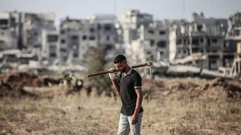 עקבו אחרי סאפא| עובדי הנמל מבצעים שביתות ופעילויות סולידריות עם עזה ב-17 מדינות