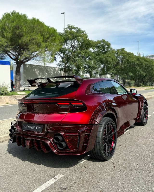 Mansory Ferrari Purosangue “PugnatoR” 9