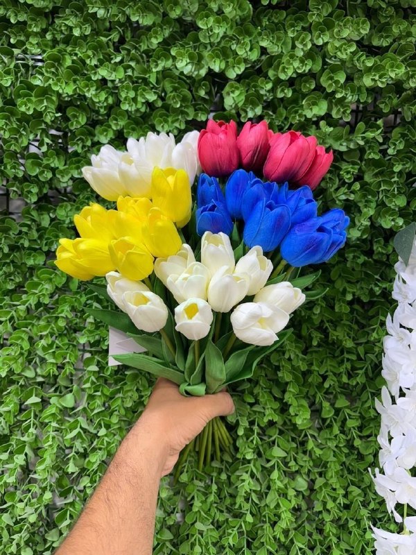 عمده فروشی بازار صالح آباد: ❇️ دسته لاله 10 تایی🔸 پخش jonior_shop -------------✅ اطلاعات تماس:📱 09961718983✅ کانال تلگرام:@mr_jonior------------✅ اس