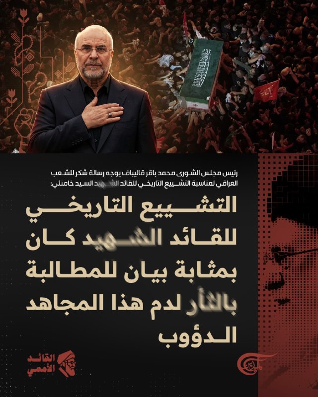 Al Mayadeen - ערוץ Al Mayadeen