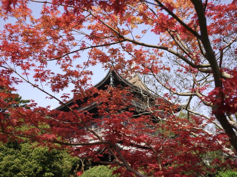 以前不知道上海有座漂亮的寺庙龙华寺以前不知道上海有座漂亮的寺庙龙华寺