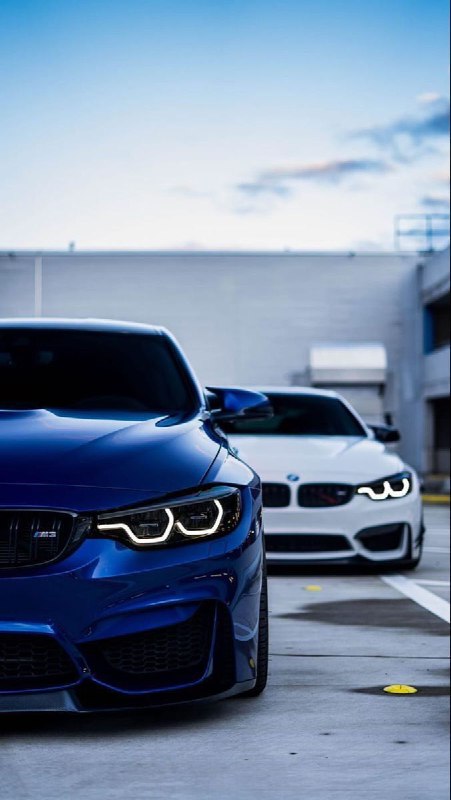 BMW M Powerhttps://t.me/bmw_mpower_club#bmw #mpower #bmwmpower #bmwworld #bmwmpo
