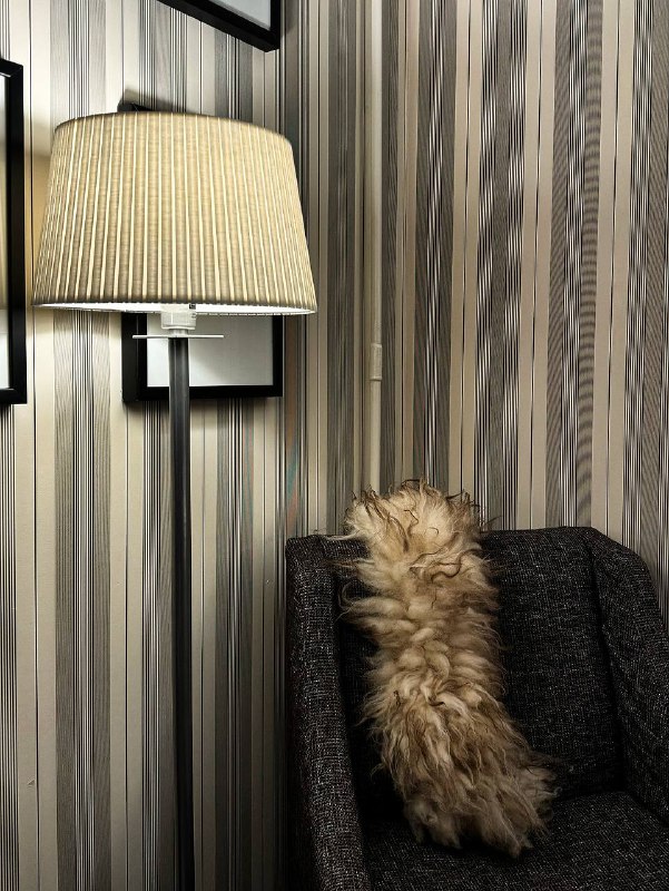 Классное место для перезагрузки в городе — отель SOKOS SPA на Васильевском островеКлассное место для перезагрузки в городе — отель SOKOS SPA на Васильевском острове