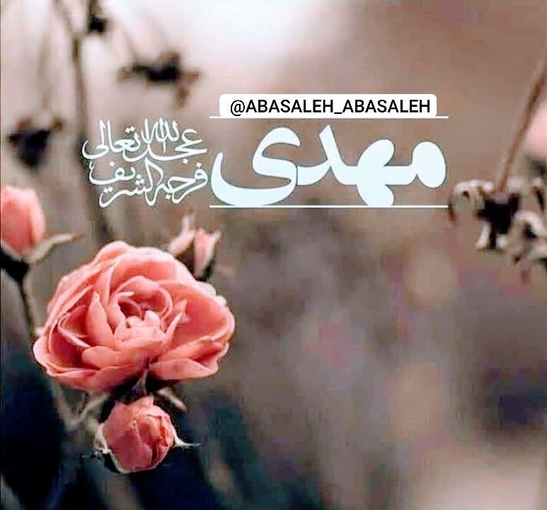 ⚡عطـــشِ انتظـــار⚡: 🌼سلام_امام_زمانم🌱 السَّلاَمُ عَلَى شَمْسِ الظَّلاَمِ وَ بَدْرِ التَّمَامِ❤️سلام بر مولایی که با طلوع شمس❤️ وجودش، مجالی