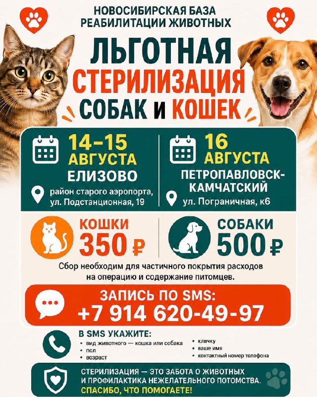 @help_animal41 posted a photo