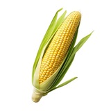 Кукуруза 🌽 🌽 🌽