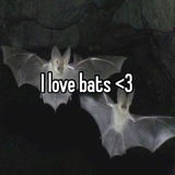 bat"s confession!🦇🩸