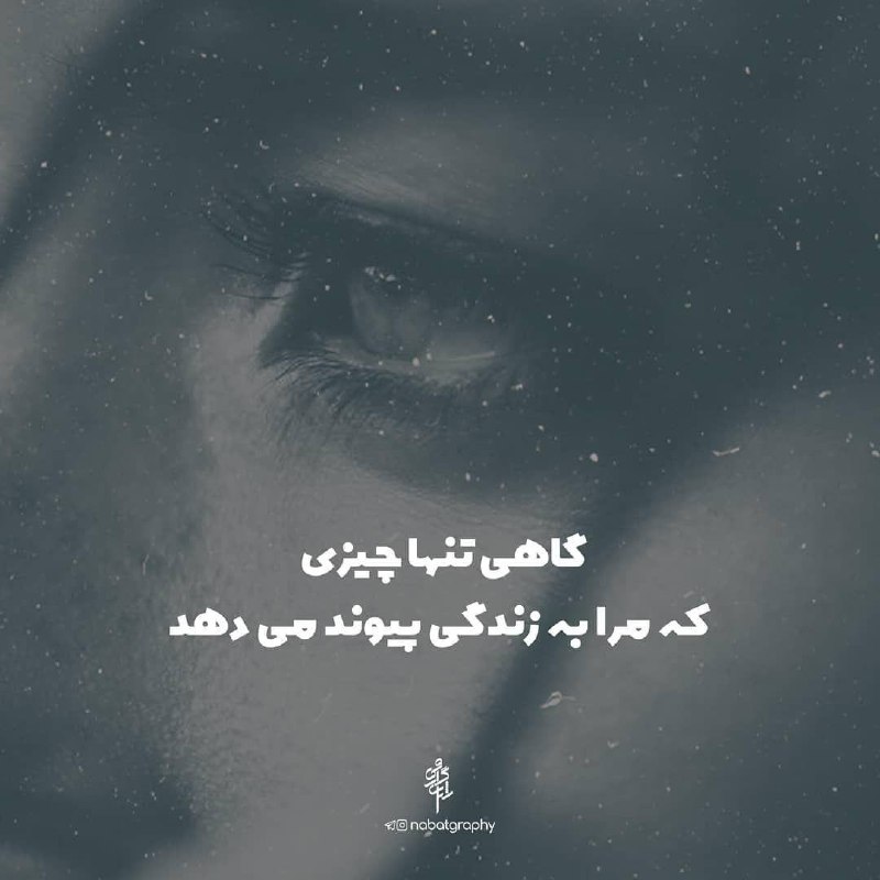 🍀 مادام میم - Madame Mim 🍀: گاهی تنها چیزی که مرا به زندگی پیوند می‌دهد فراموشی دنیاست.یک فنجان چای، نسیمی آفتاب زدهو یک موسیقی آرام...چیزی شبیه صدا