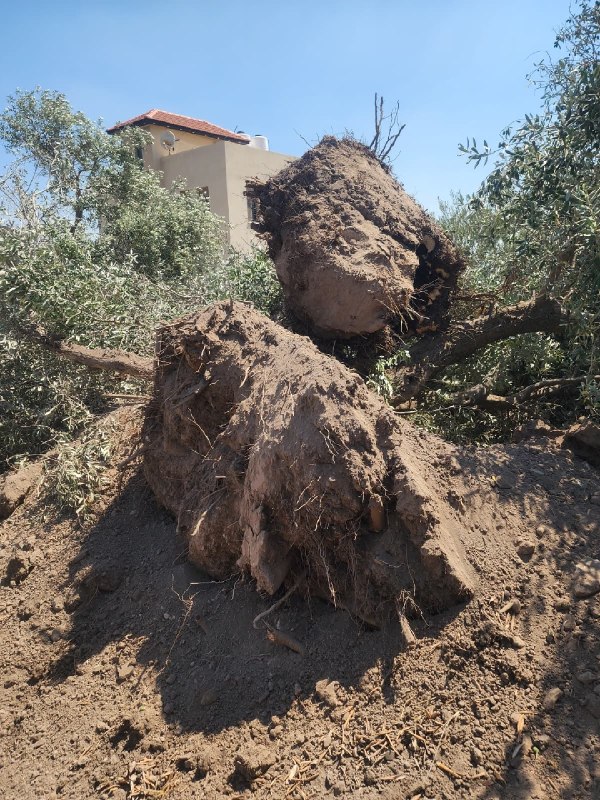 רשת חדשות ירושלים