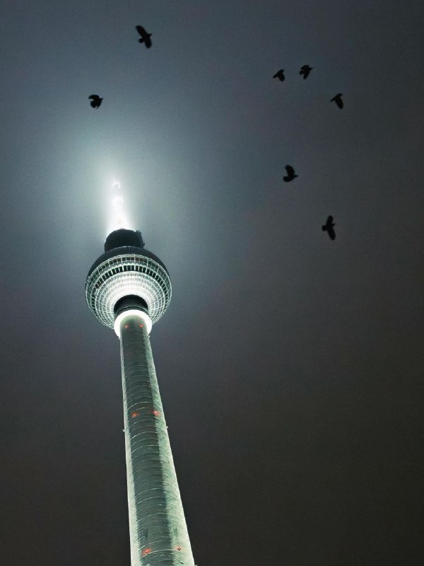 Телебашня и вороны (c) Oliver Feldhaus