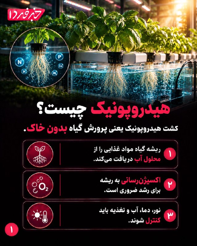 خبرفردا: 🔺 هیدروپونیک چیست؟@khabarfarda_tv