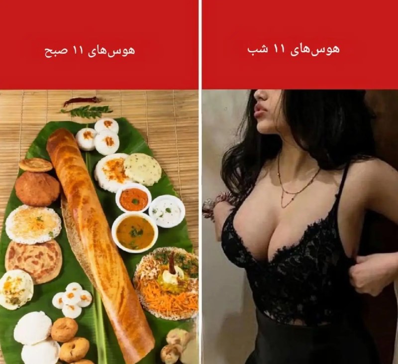 Efsha Vatani: وعده های پروتئینی 🥹🤤@EfshaVatani
