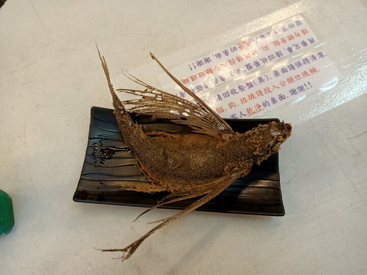 愛在達悟族的原鄉蘭嶼