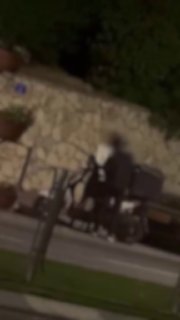 אור רביד