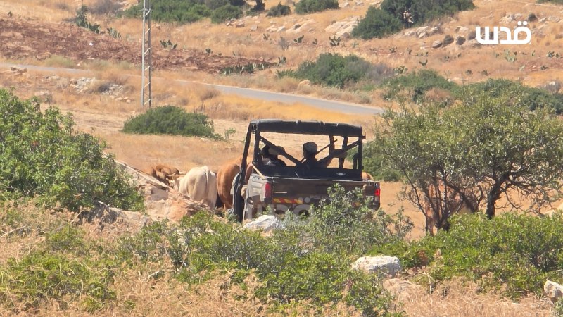 רשת חדשות ירושלים