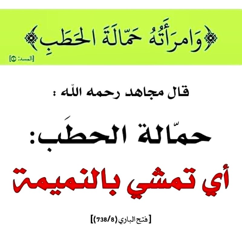 𝗪𝗼𝗺𝗲𝗻'𝘀 𝗕𝗲𝗻𝗲𝗳𝗶𝘁𝘀 (496)