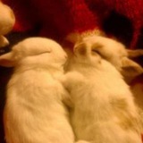 Under a warm blanket