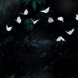 𓍊𓋼𓍊𓋼𓍊 Омут𓆏 𓍊𓋼