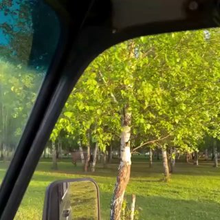 Мама-лошадь позвала людей на помощь своему жеребёнку, застрявшему между стволами берёзы.Произошло это в Иглинском районе Башкирии. Фермер Сагитзян Идиятуллин и его товарищ ехали на машине, когда заметили встревоженную лошадь — она металась рядом с автомоби
