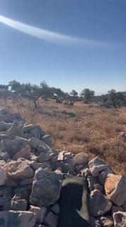 רשת חדשות ירושלים