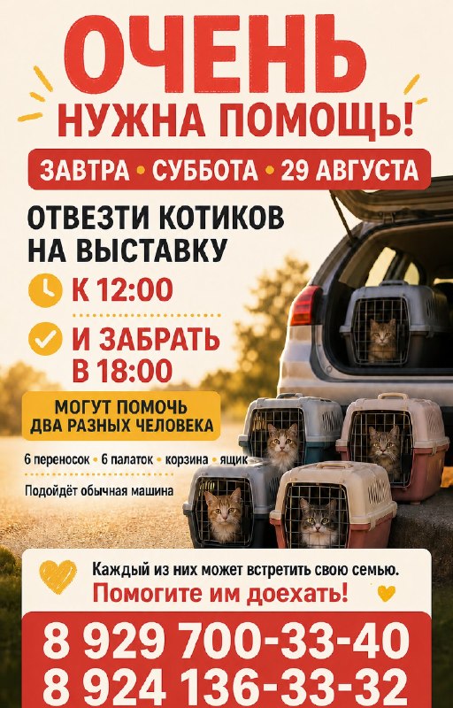 🚨 ОЧЕНЬ НУЖНА АВТОПОМОЩЬ НА ЗАВТРА!

В субботу, 29...