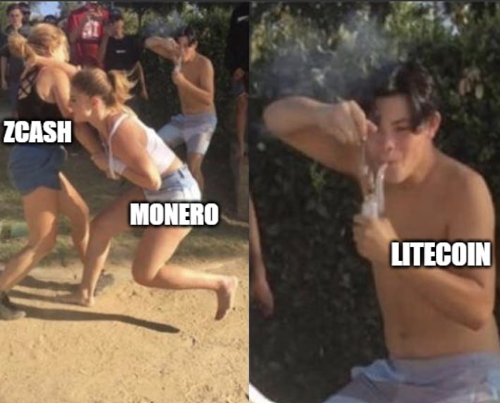 The Crypto Ledger: Litecoin insider shares this image on X — is a major surge coming soon?The Crypto Ledger
