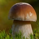 Творчество