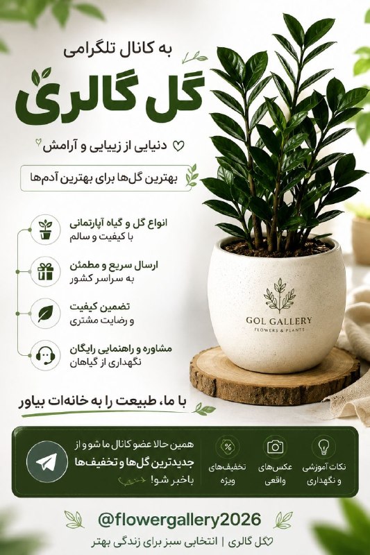 کانال عصر مرکزی: 🌿 گل گالری؛ جایی برای عاشقان گل و زندگی سبز اگه دنبال یه گل زیبا برای خونه، محل کار یا هدیهای خاص هستی، حتماً سری به گل