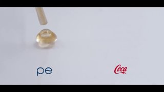 Coke vs. Pepsi, but the ants decideDid you know? 🎓