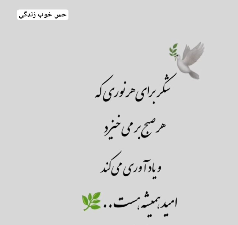 حس خوب زندگی 😊: 🕊شکر برای هر نوری که هر صبح بر می خیزدو یادآوری می کند امید ، همیشه، هست ...🌿┄┅┄┅✶❤✶┄┅┄ Join👇🏻 @good_sense_of_life#کانال