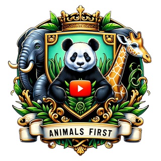 Animals First 🐒🦒🦆 avatar
