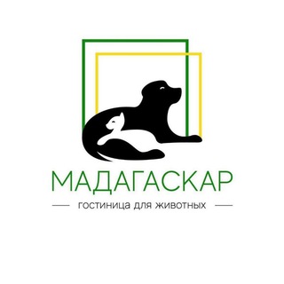 «Мадагаскар» на Бали и в Сочи. 🐕🐈💖☀️🌊🌴