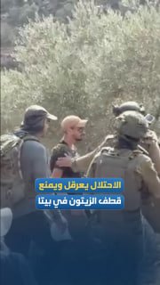 The olive harvest in "Jabal al-Armah" has ended. The day ended before it began.. What happened in the town of Beta south of Nablus in the morning?