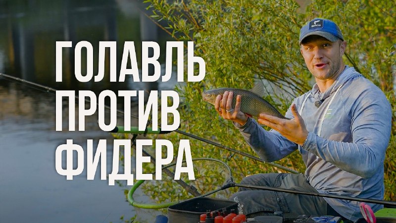 Telegram пост