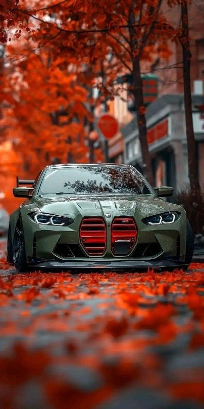 https://t.me/bmw_mpower_club