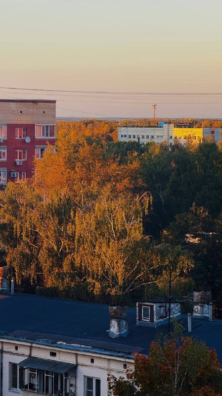 Город умылся золотом, прогулки по Долгопрудному стали похожи на прогулки внутри драгоценной шкатулки