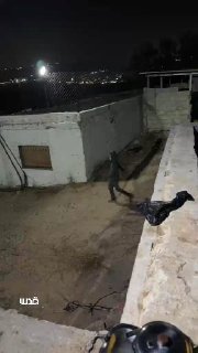 ממשיכים בפיגועים... מתנחלים מתפרעים בחצר בית משפחת אבו עוואד בפאתי העיירה טורמוס איה מצפון לרמאללה.