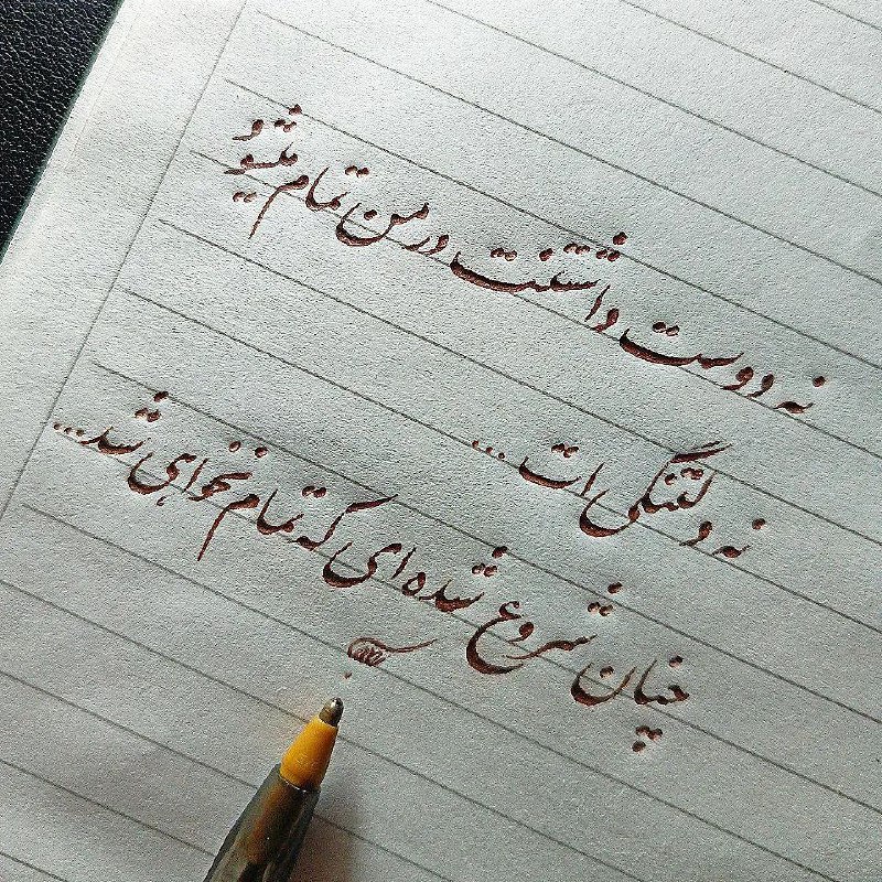 شاعران برتر: نه دوست داشتنت در من تمام می شودنه دلتنگی ات ...چنان شروع شده ای که تمام نخواهی شد...@foroogh_farokhzad