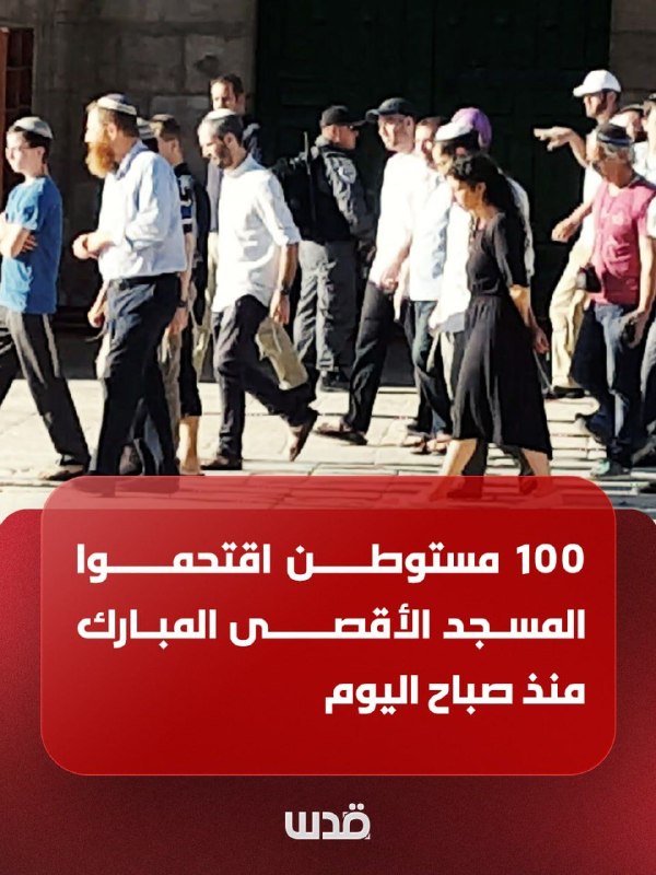 בחסות משטרת הכיבוש הסתערו הבוקר 100 מתנחלים על מסגד אל-אקצא המבורך.